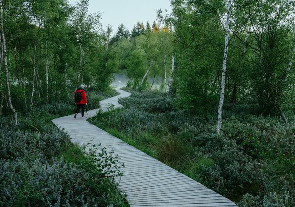 exploration path