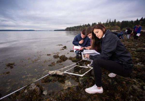 Students at the beach with notebooks