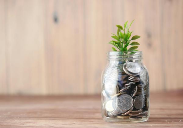 A plant growing out of a jar of coins